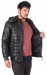 canada goose branta calgary canada goose branta calgary