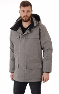 canada goose grise canada goose grise