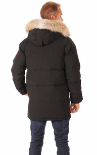 fourrure canada goose